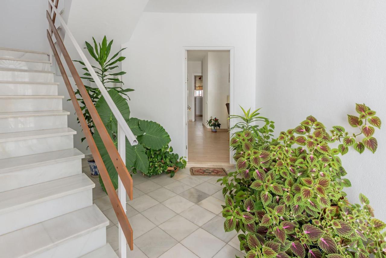 Apartamento Los Naranjos En Vejer Вьер де ла Фронтера Экстерьер фото